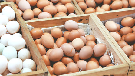 Eggshells Can Help Your Plants and Garden Grow Amazingly!