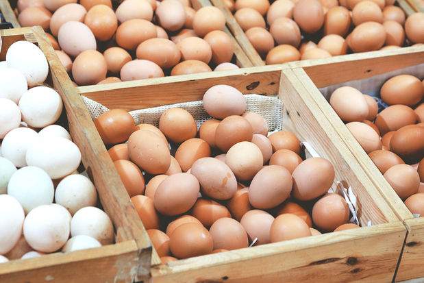 Egg Lieferung