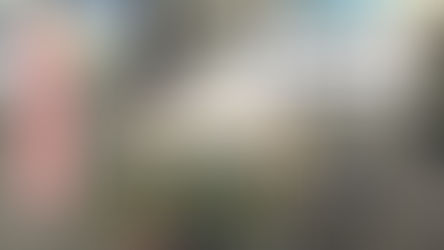 【全国対応】飛行機での患者搬送・長距離移動ならHarnesCare|寝たきり・車いすの方|飛行機 患者搬送 看護師同行で安心サポート