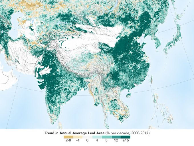La tierra es ahora más verde que hace 20 años