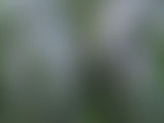 PREGNANT WITH POSSIBILITY... This Week at UCCW