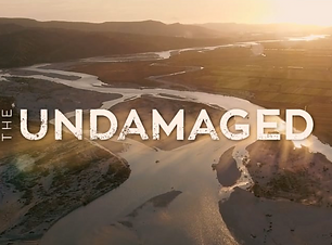 Copy of The Undamaged screenshot.png