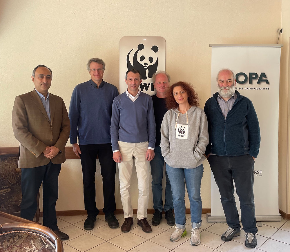 News Announcing The Start Of Phase Two Of Ecf