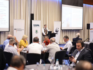 NEWS | Local Action with Global Commitments: Highlights from the 2025 ECF Regional Consultative Forum