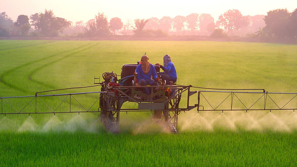 boom sprayer applying herbicide across a green crop, illustrating conventional ground spraying