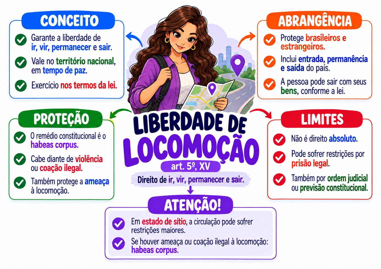 Amostra real 3 dos mapas de Direito Constitucional