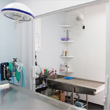 Dental and treatment room at West Coast Vetcare Singapore