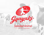 Guayaki (Paraguay).jpg
