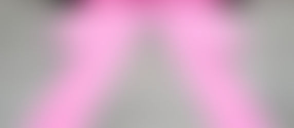 โบว์สีน่ารักแบบนี้เป็นของคุณนะ