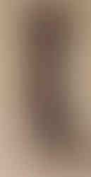Lulus Brown Mock Neck Dress