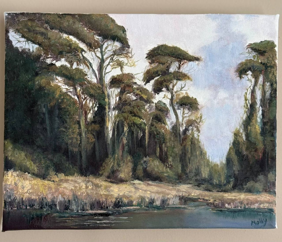 photo_2025-02-04_21-37-39