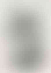 Sunflower, September 2021