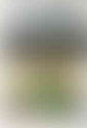 River Wall River Reeds I