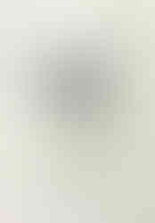 Acid Level Battery Vase Bouquet, January 2019