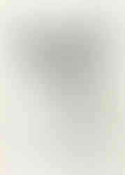 Acid Level Battery Vase Bouquet, February 2019 #1
February 2019 #1