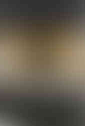 City Mill River Wall Reeds IX