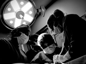 IN-SIGHT: The Calm in the Chaos