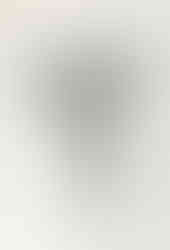 Acid Level Battery Vase Wild Flower Bouquet, May 2019
May 2019