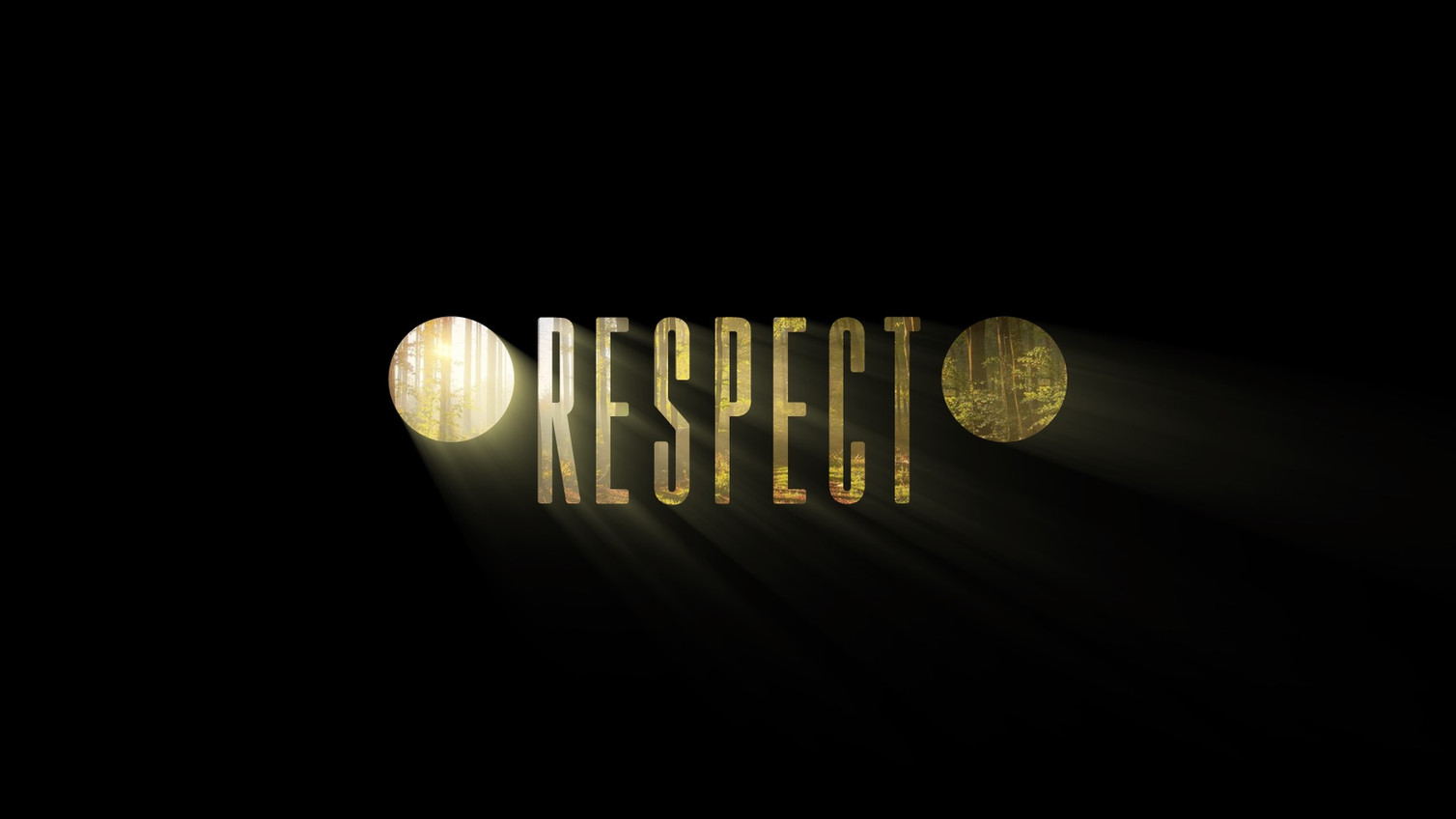 09_RESPECT_02.jpeg