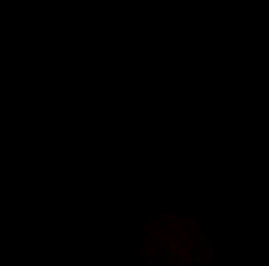 Screen-Recording_instagram.gif