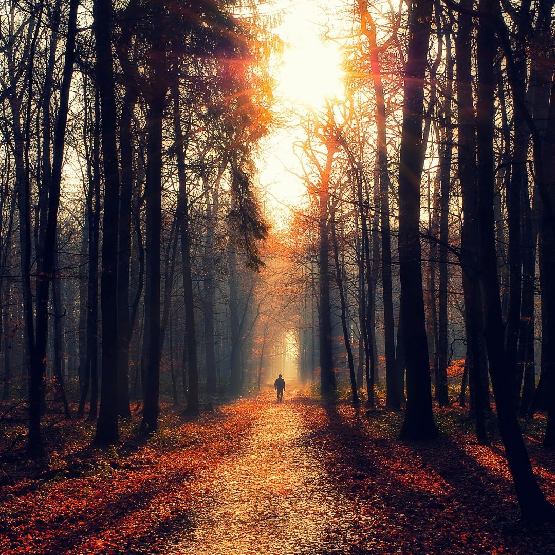 Méditation de rencontre avec tes guides spirituels