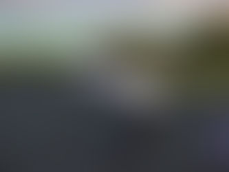 Starlink weekly blog w/e 4 April 2026