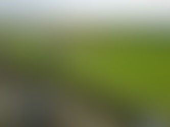 Cheshire Starlinks Professional installation service