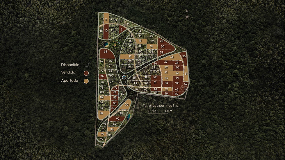 Mapa disponibilidad.jpg