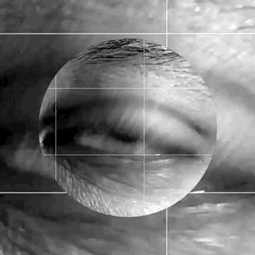1458C190-A5B6-44CD-A164-6A2EAF01E783.GIF
