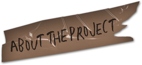 about the project