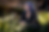 external-file_edited.png