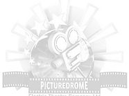 PICTURE DROME LOGO_edited.jpg