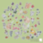 woodland animals stickers autocolante pentru copii cu animale din padure