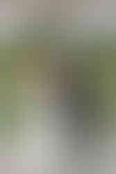 Niagara Wedding Photographer | Beechwood Golf & Social House Wedding in Thorold