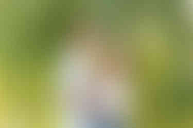 St.Catharines engagement session photography