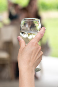 Vineyard wedding ceremony in Niagara-on-the-Lake photographed by Niagara wedding photographer