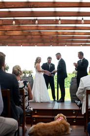 Niagara winery wedding photography at Vineland Estates Estate Winery