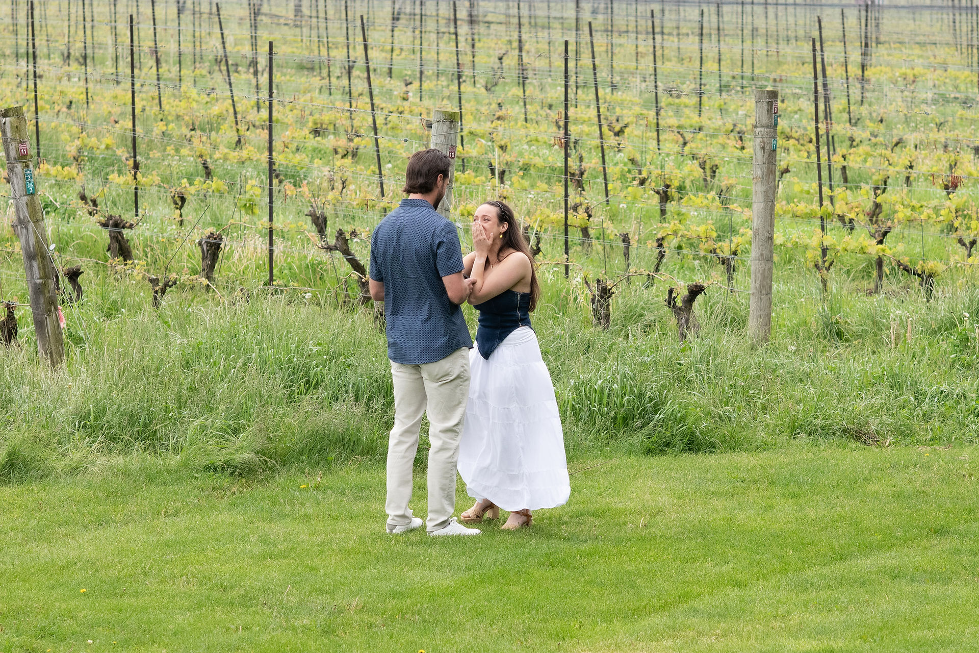 Emotional engagement moment after a surprise proposal at a Niagara-on-the-Lake winery.