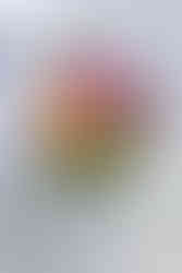 St. Catharines wedding photography