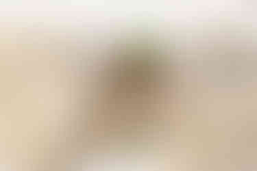 Niagara Wedding Photographer | Beechwood Golf & Social House Wedding in Thorold