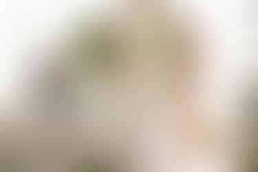 Vineyard wedding ceremony in Niagara-on-the-Lake photographed by Niagara wedding photographer