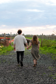 Engaged couple walking through tulip fields in Niagara-on-the-Lake during sunset engagement session.