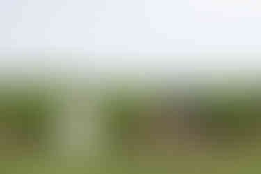 Romantic bride and groom portrait at Bella Terra winery wedding