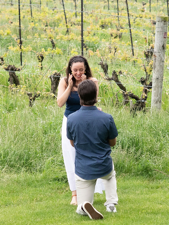 Proposal photography in a scenic vineyard in Niagara-on-the-Lake, Ontario.