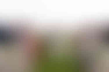 Niagara wedding photographer capturing outdoor ceremony at Bella Terra Vineyards