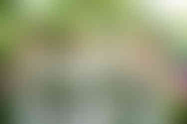 intimate Stonewall Estates wedding in the Niagara Region