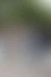 Niagara Wedding Photographer | Beechwood Golf & Social House Wedding in Thorold