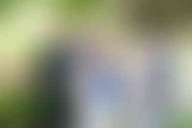 intimate Stonewall Estates wedding in the Niagara Region