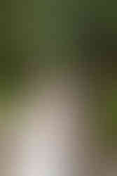 Emotional embrace captured by Niagara wedding photographer at winery venue