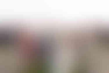 Niagara wedding photographer capturing outdoor ceremony at Bella Terra Vineyards